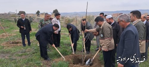 درختکاری یک وظیفه همگانی است 