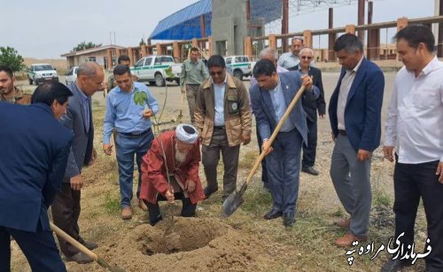 درختکاری در آرامگاه مختومقلی فراغی در آستانه ۲۹۱ مین سالگرد تولد وی 