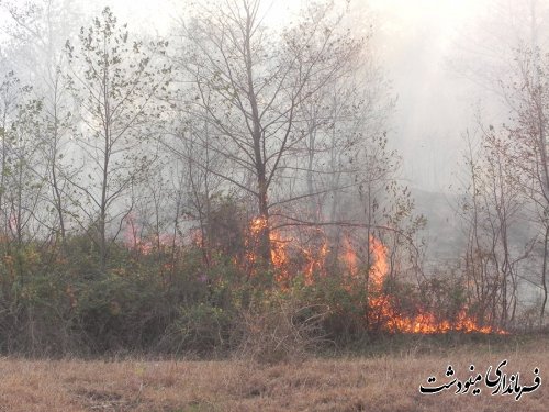 فرماندار مینودشت : آتش سوزی با تلاش مامورین و نیروهای مردمی خاموش شد 