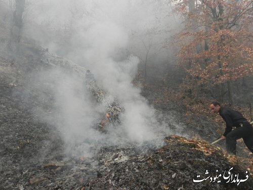 فرماندار مینودشت : آتش سوزی با تلاش مامورین و نیروهای مردمی خاموش شد 