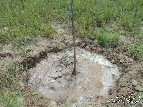 برگزاری جلسه تبدیل اراضی شیبدار به باغات مثمر