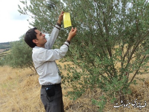 برگزاری جلسه تبدیل اراضی شیبدار به باغات مثمر