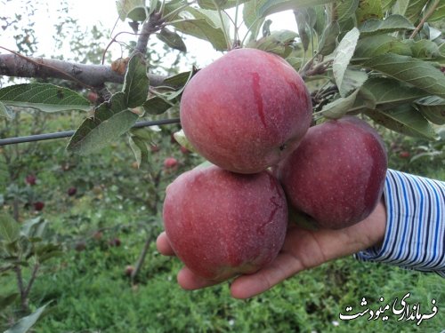 برگزاری جلسه تبدیل اراضی شیبدار به باغات مثمر