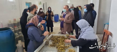 نشست سرکار خانم جباری مدیرکل امور بانوان استانداری گلستان با فرماندار مینودشت