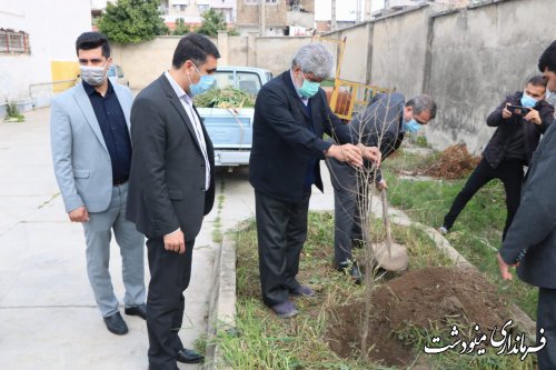 فرماندار مینودشت به یاد شهدای فرهنگی و دانش آموز یک نهال کاشت