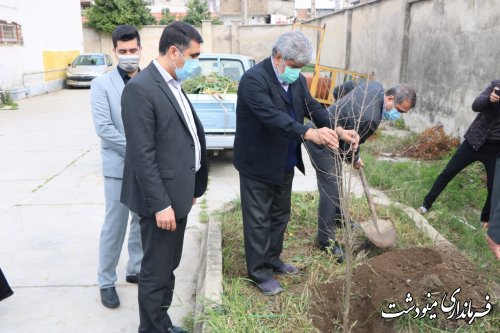 فرماندار مینودشت به یاد شهدای فرهنگی و دانش آموز یک نهال کاشت