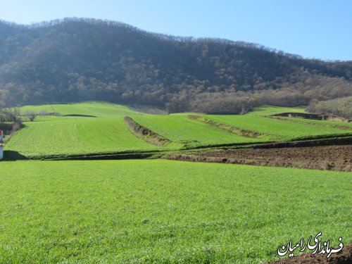 بازدید فرماندار رامیان از طرح یکپارچه سازی اراضی شالیزاری مازیاران