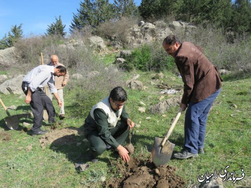 کاشت درخت توسط معاون فرماندار و مسئولین ادارات شهرستان در روز درختکاری