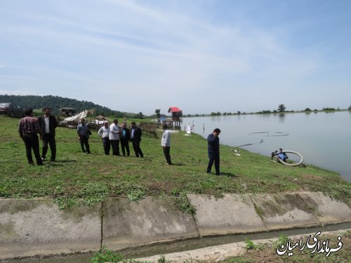 بازدید  فرماندار رامیان از محل برگزاری جشنواره توت فرنگی در روستای شفیع آباد