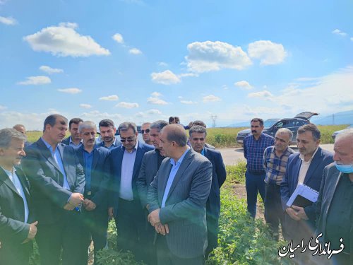 بازدید اعضای کمیسیون کشاورزی مجلس از زمین های کشاورزی رامیان