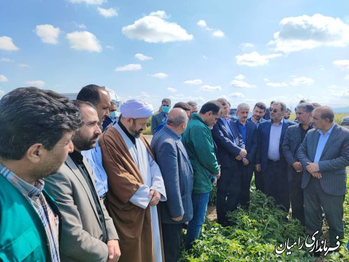 بازدید اعضای کمیسیون کشاورزی مجلس از زمین های کشاورزی رامیان