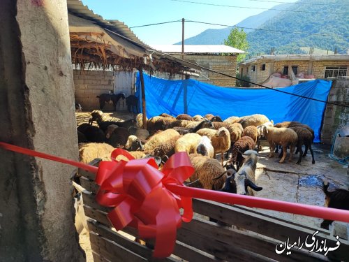 افتتاح ۱۹۱ طرح اشتغالزایی کمیته امداد در بخش فندرسک شهرستان رامیان