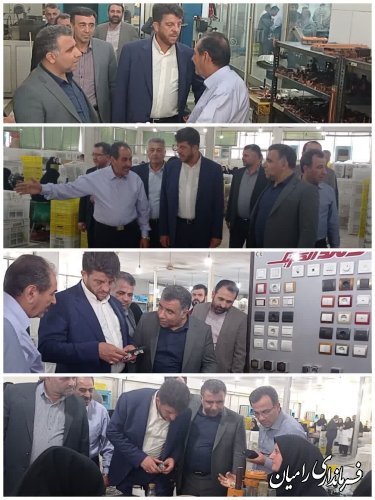 بازدید معاون وزیر کار ،تعاون و رفاه اجتماعی از کارخانه دلند الکتریک