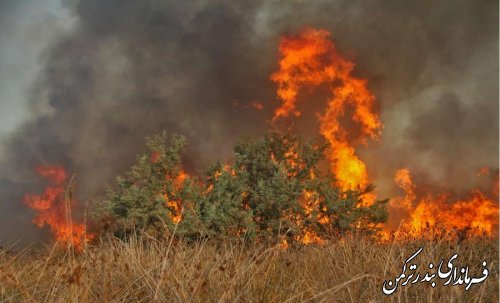 آتش در جزیره آشوراده  مهار شد