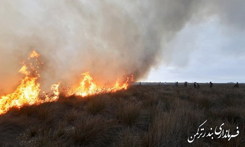 مهار آتش سوزی در جزیره آشوراده