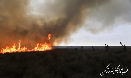 مهار آتش سوزی در جزیره آشوراده