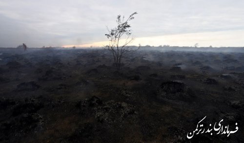 مهار آتش سوزی در جزیره آشوراده