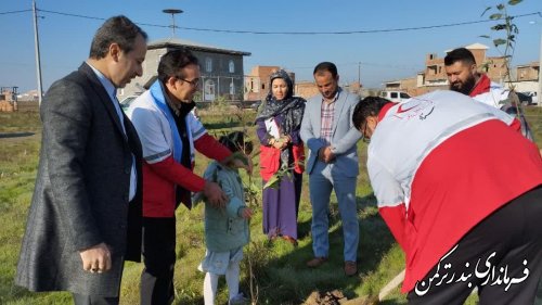 آغاز طرح ملی کاشت یک میلیارد درخت در بندرترکمن