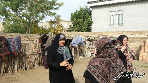 بازدید مدیر کل امور بانوان و خانواده از طرح های مشاغل خانگی شهرستان 