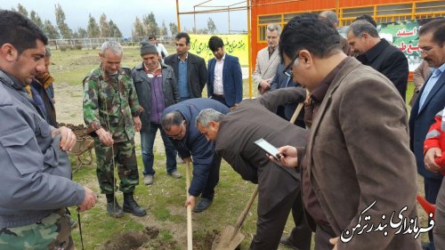 کاشت نهال توسط فرماندار درمحوطه ی اسبدوانی بندرترکمن 