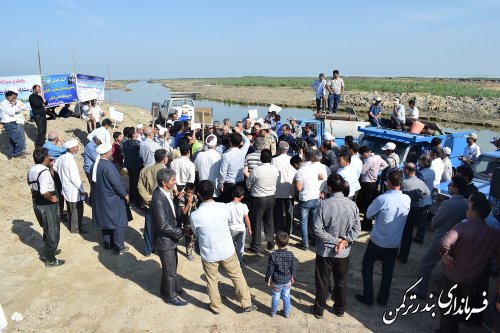 مراسم آغاز فصل رهاسازی بچه ماهیان خاویاری و استخوانی به رودخانه قره سو برگزار شد