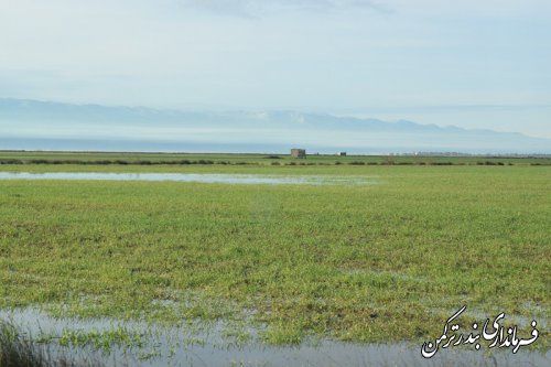 بازدید فرماندار از پل راه قدیم روستای چپاقلی و لایروبی کانال بصیرآباد