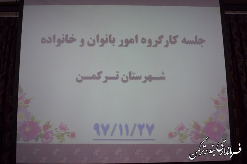 جلسه کارگروه امور بانوان و خانواده شهرستان ترکمن 