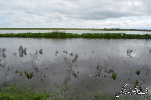 بازدید فرماندار ترکمن از روستای گامیشلی نزار