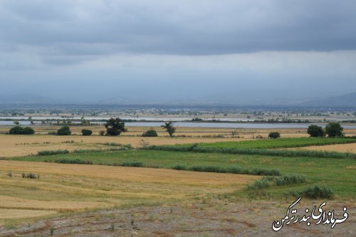 بررسی وضعیت دشت آب ها در اراضی کشاورزی شهرستان توسط فرماندار ترکمن