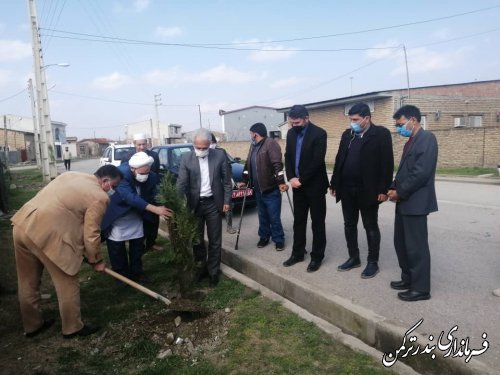 کاشت نهال در شهر تازه تاسیس سیجوال با حضور فرماندار شهرستان ترکمن