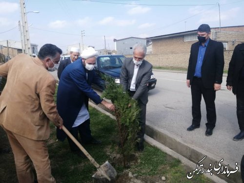 کاشت نهال در شهر تازه تاسیس سیجوال با حضور فرماندار شهرستان ترکمن