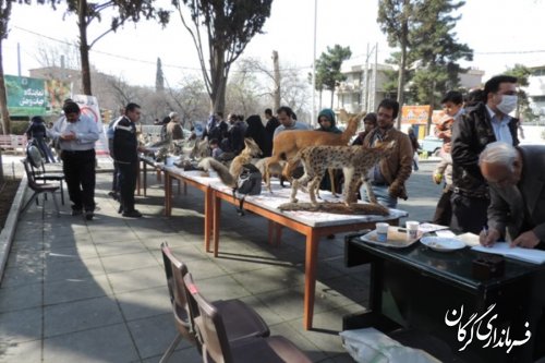 نمایشگاه حیات وحش ، عکس و پوستر به مناسبت دهه مبارک فجر در پارک شهر گرگان برگزار شد 