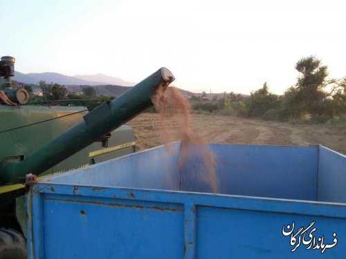 گزارش تصویری/بازدید فرماندار از مراکز خرید گندم در شهرستان گرگان 