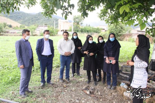 بازدید فرماندار گرگان از گلخانه ۲بانوی موفق در زمینه پرورش گل کاکتوس و گیاهان دارویی