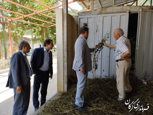 گزارش تصویری || بازدید سرپرست فرمانداری شهرستان گرگان از مرکز تولید داروهای گیاهی