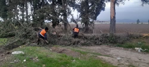 گزارش تصویری || بازدید فرماندار گرگان از روند ترمیم خسارات بارندگی و طوفان روز گذشته