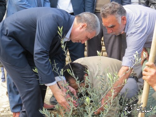 گزارش تصویری از حضور فرماندار در روستای یامپی در هفته درختکاری