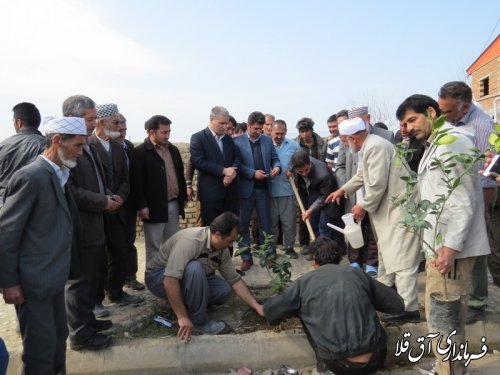 گزارش تصویری از حضور فرماندار در روستای یامپی در هفته درختکاری