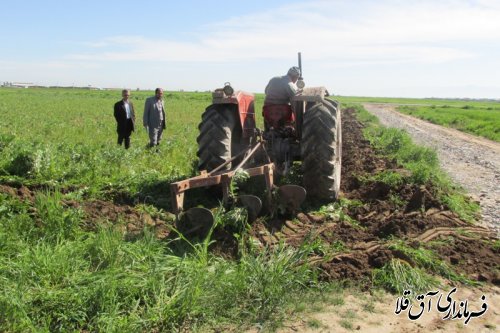 آبیاری 14000هکتار  مزارع غلات شهرستان آق قلا