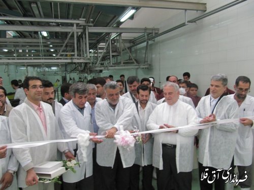 گزارش تصویری افتتاح  کشتارگاه صنعتی دام استان گلستان با حضور وزیر کشاورزی
