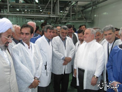 گزارش تصویری افتتاح  کشتارگاه صنعتی دام استان گلستان با حضور وزیر کشاورزی