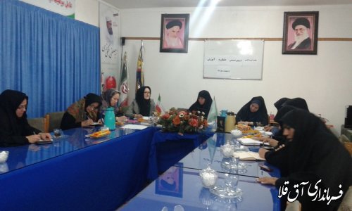 اولین جلسه گروه های کاری پیشگیری از آسیبهای اجتماعی ، مشاوره وآموزش بانوان برگزار گردید