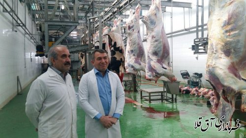 بازدید مدیران کل حوزه استاندار و امنیتی انتظامی استانداری از کشتارگاه دام اینچه برون