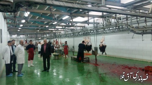 بازدید مدیران کل حوزه استاندار و امنیتی انتظامی استانداری از کشتارگاه دام اینچه برون