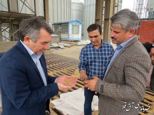 50 هزار تن گندم تا کنون تحویل مراکز خرید شهرستان آق قلا شده است