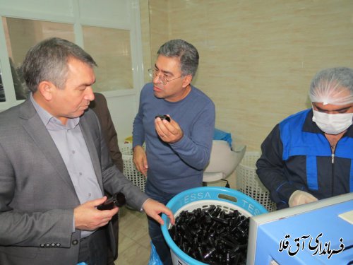 بازدید فرماندار شهرستان آق قلا از شرکت"داروسازی گیاهی نیاک"با اشتغالزائی 100 نفر