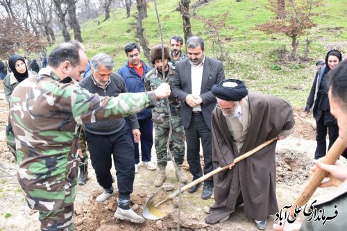 غرس ۲۲۰۰ نهال در علی آبادکتول به مناسبت روز درخت کاری