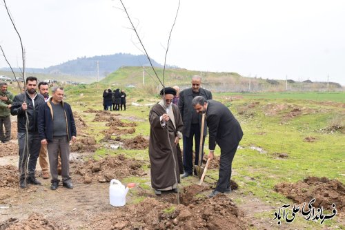 غرس ۲۲۰۰ نهال در علی آبادکتول به مناسبت روز درخت کاری