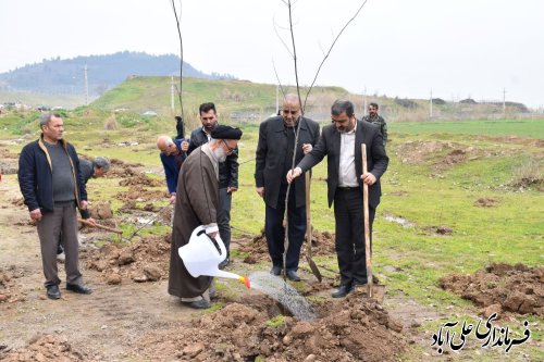 غرس ۲۲۰۰ نهال در علی آبادکتول به مناسبت روز درخت کاری