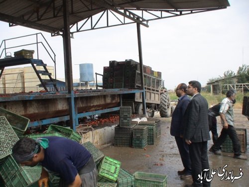 بازیدفرماندارعلی آباد کتول از کارخانه رب کمالان